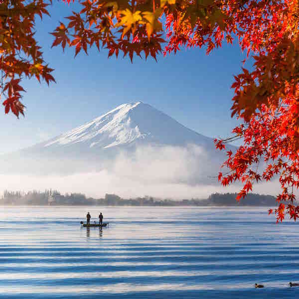 数百本もの紅葉に囲まれて