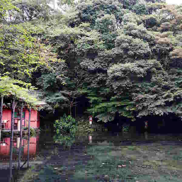 富士山本宮浅間大社