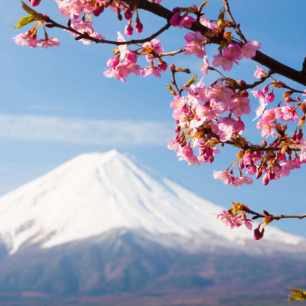 湖楽おんやど富士吟景