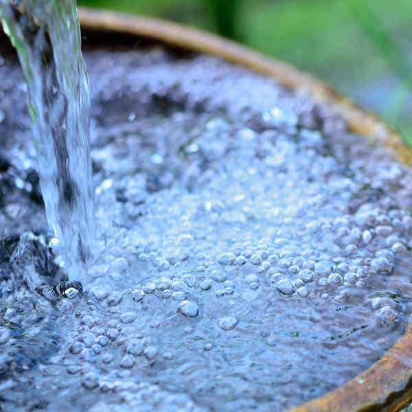 仕込み水の硬度